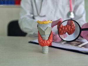 detailed-examination-thyroid-model-by-medical-professional